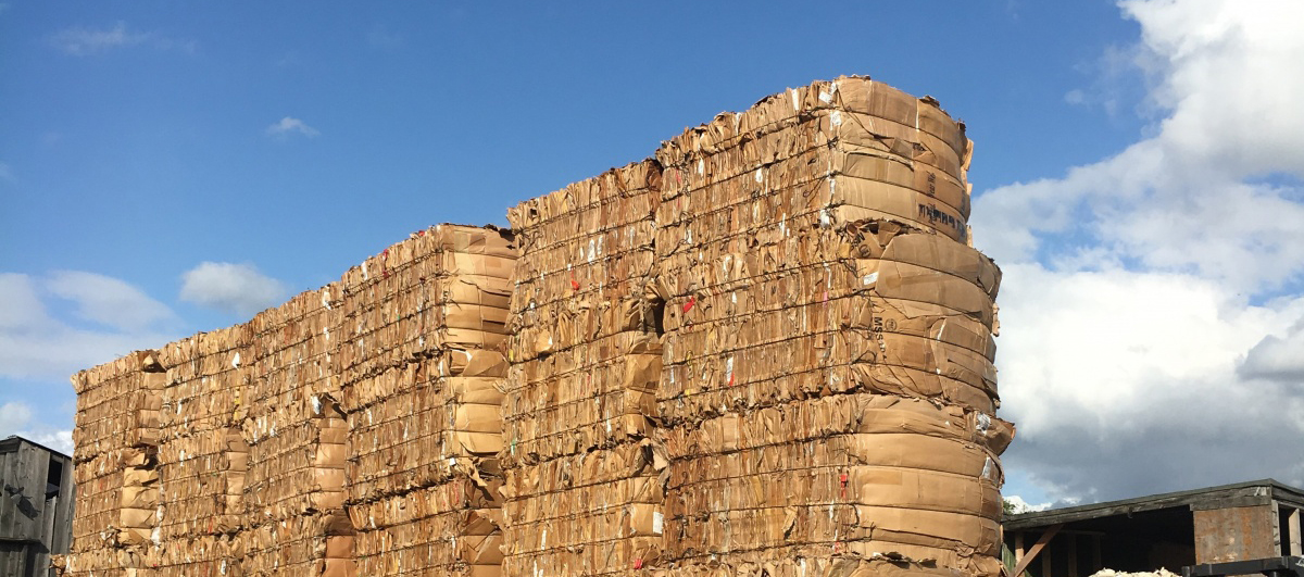 Colectarea cartonului în mediul comercial – organizare, reciclare și eficiență operațională