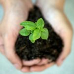 Photo sustainability